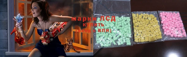 стафф Алзамай