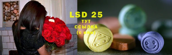 стафф Алзамай