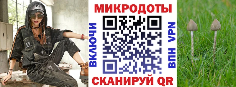 Галлюциногенные грибы Magic Shrooms  площадка официальный сайт  Красноармейск  МЕГА вход 
