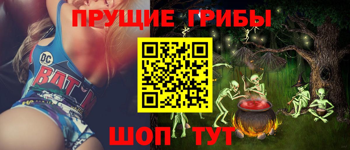Красноармейск  Галлюциногенные грибы прущие грибы  Вход с VPN 
